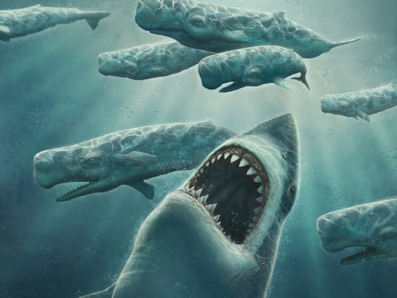 Cá mập Megalodon hay còn gọi là quái thú răng to (big tooth) là loài siêu cá mập khổng lồ sống ở thời tiền sử cuối kỉ Oligocen và kỷ Neogen khoảng 28-1,5 triệu năm trước, đã tuyệt chủng.